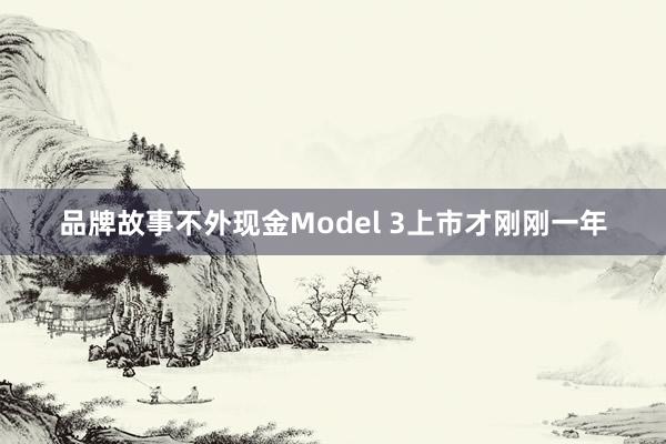 品牌故事不外现金Model 3上市才刚刚一年