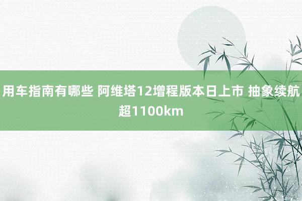 用车指南有哪些 阿维塔12增程版本日上市 抽象续航超1100km