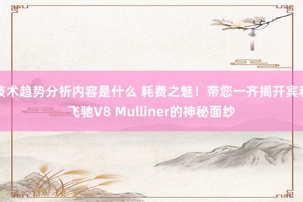 技术趋势分析内容是什么 耗费之魅！带您一齐揭开宾利飞驰V8 Mulliner的神秘面纱