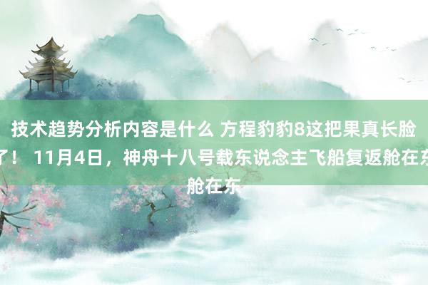 技术趋势分析内容是什么 方程豹豹8这把果真长脸了！ 11月4日，神舟十八号载东说念主飞船复返舱在东