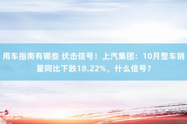 用车指南有哪些 伏击信号！上汽集团：10月整车销量同比下跌18.22%，什么信号？