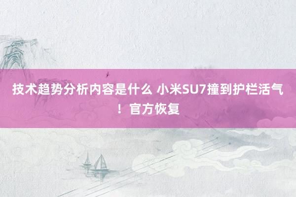 技术趋势分析内容是什么 小米SU7撞到护栏活气！官方恢复