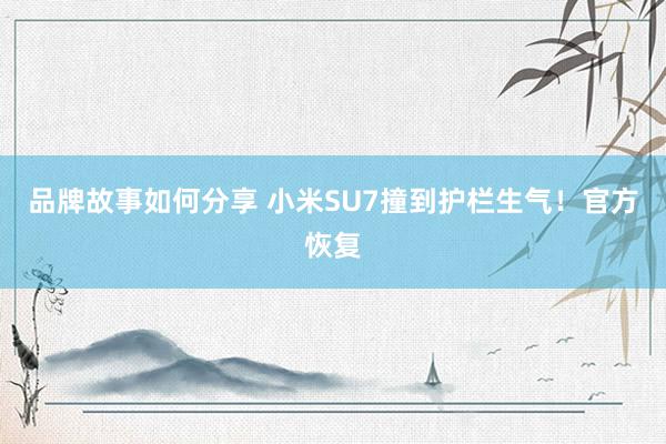 品牌故事如何分享 小米SU7撞到护栏生气！官方恢复