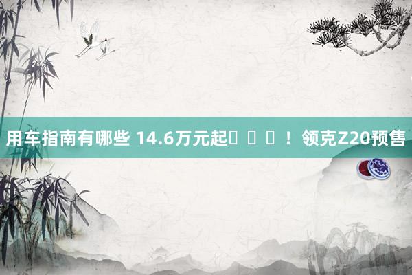 用车指南有哪些 14.6万元起​​​！领克Z20预售