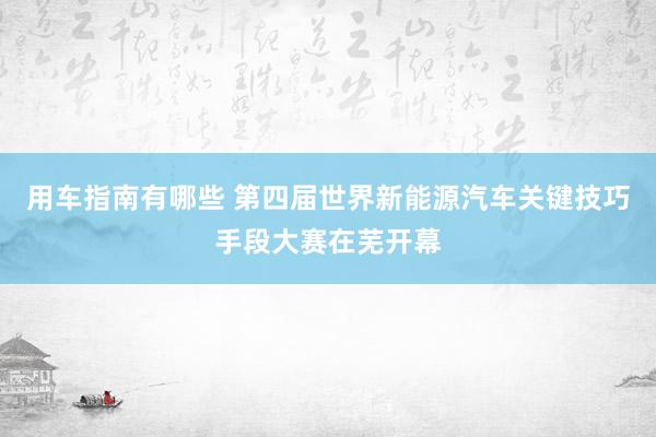 用车指南有哪些 第四届世界新能源汽车关键技巧手段大赛在芜开幕