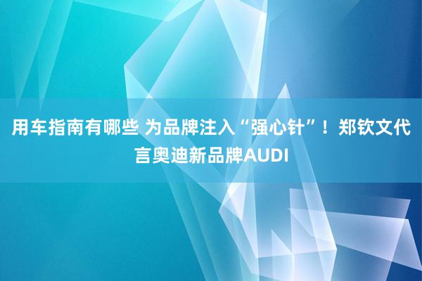 用车指南有哪些 为品牌注入“强心针”！郑钦文代言奥迪新品牌AUDI