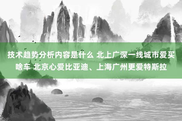 技术趋势分析内容是什么 北上广深一线城市爱买啥车 北京心爱比亚迪、上海广州更爱特斯拉