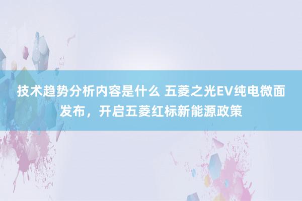 技术趋势分析内容是什么 五菱之光EV纯电微面发布，开启五菱红标新能源政策