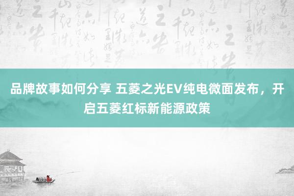 品牌故事如何分享 五菱之光EV纯电微面发布，开启五菱红标新能源政策