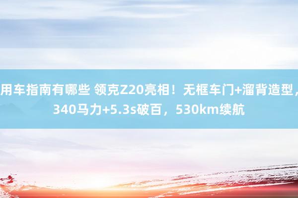 用车指南有哪些 领克Z20亮相！无框车门+溜背造型，340马力+5.3s破百，530km续航