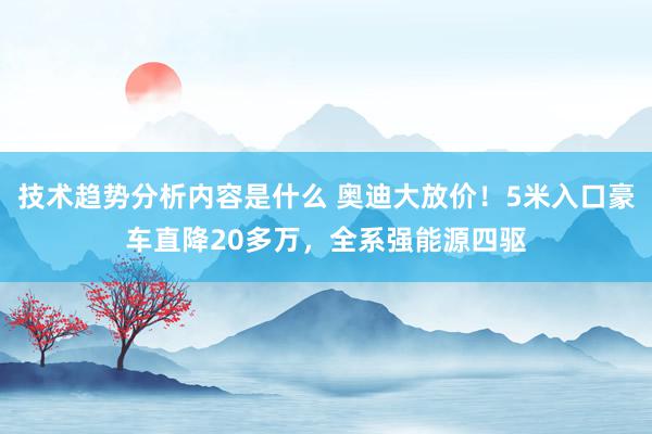 技术趋势分析内容是什么 奥迪大放价！5米入口豪车直降20多万，全系强能源四驱