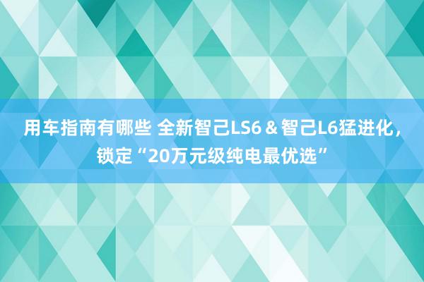 用车指南有哪些 全新智己LS6＆智己L6猛进化，锁定“20万元级纯电最优选”