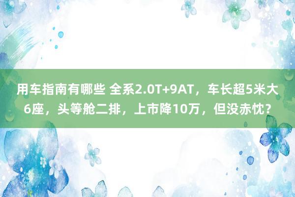 用车指南有哪些 全系2.0T+9AT，车长超5米大6座，头等舱二排，上市降10万，但没赤忱？