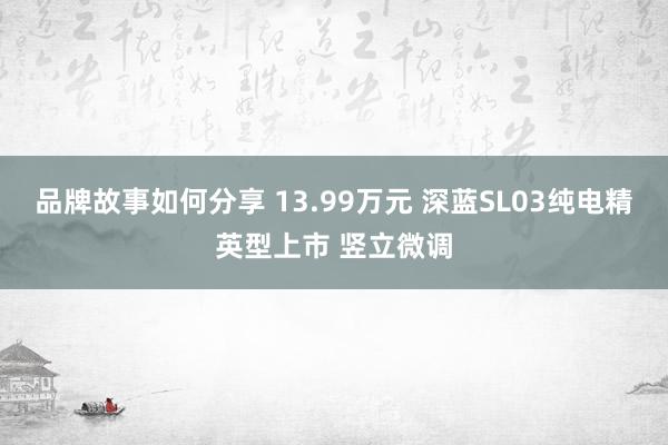 品牌故事如何分享 13.99万元 深蓝SL03纯电精英型上市 竖立微调