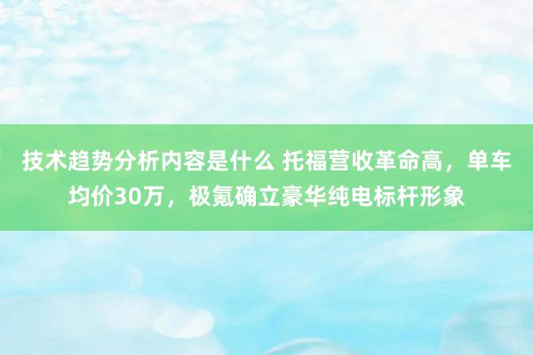 技术趋势分析内容是什么 托福营收革命高，单车均价30万，极氪确立豪华纯电标杆形象