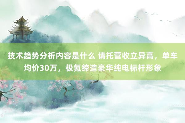 技术趋势分析内容是什么 请托营收立异高，单车均价30万，极氪缔造豪华纯电标杆形象