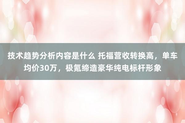 技术趋势分析内容是什么 托福营收转换高，单车均价30万，极氪缔造豪华纯电标杆形象