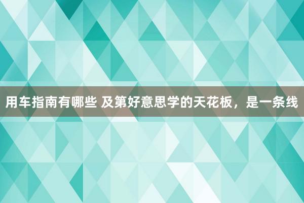 用车指南有哪些 及第好意思学的天花板，是一条线