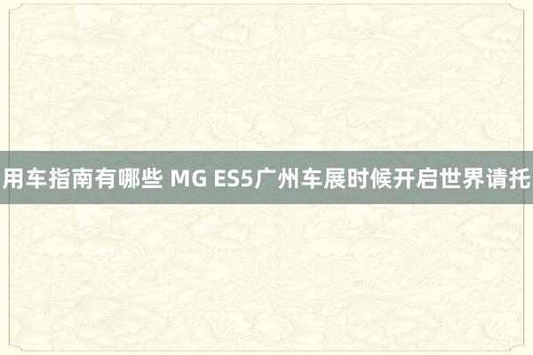 用车指南有哪些 MG ES5广州车展时候开启世界请托