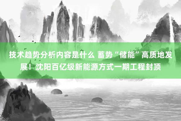 技术趋势分析内容是什么 蓄势“储能”高质地发展！沈阳百亿级新能源方式一期工程封顶