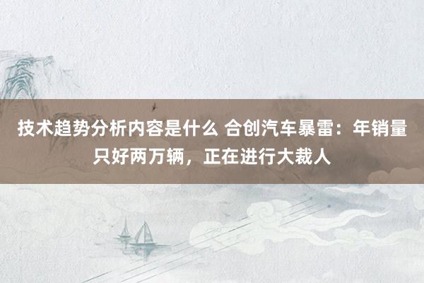 技术趋势分析内容是什么 合创汽车暴雷：年销量只好两万辆，正在进行大裁人