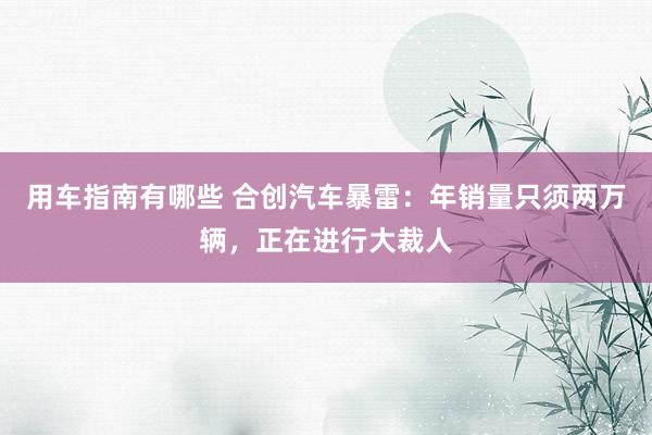 用车指南有哪些 合创汽车暴雷：年销量只须两万辆，正在进行大裁人