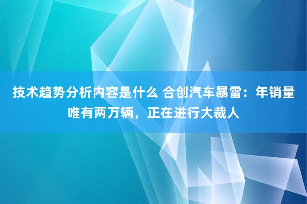 技术趋势分析内容是什么 合创汽车暴雷：年销量唯有两万辆，正在进行大裁人