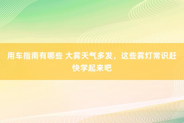 用车指南有哪些 大雾天气多发，这些雾灯常识赶快学起来吧