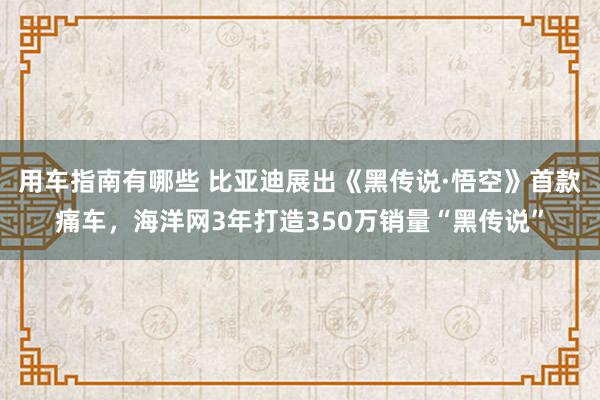 用车指南有哪些 比亚迪展出《黑传说·悟空》首款痛车，海洋网3年打造350万销量“黑传说”