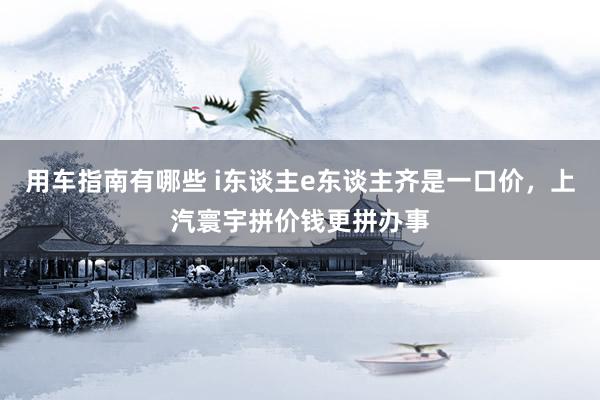 用车指南有哪些 i东谈主e东谈主齐是一口价，上汽寰宇拼价钱更拼办事