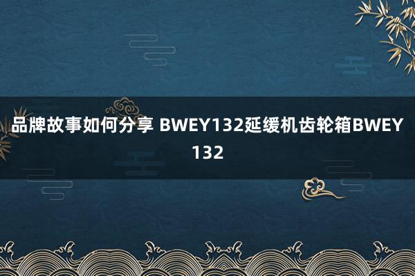 品牌故事如何分享 BWEY132延缓机齿轮箱BWEY132