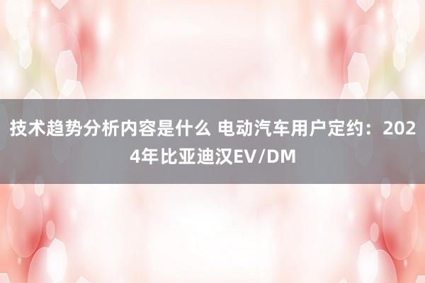 技术趋势分析内容是什么 电动汽车用户定约：2024年比亚迪汉EV/DM