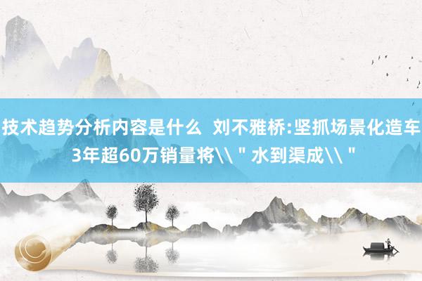 技术趋势分析内容是什么  刘不雅桥:坚抓场景化造车 3年超60万销量将\＂水到渠成\＂