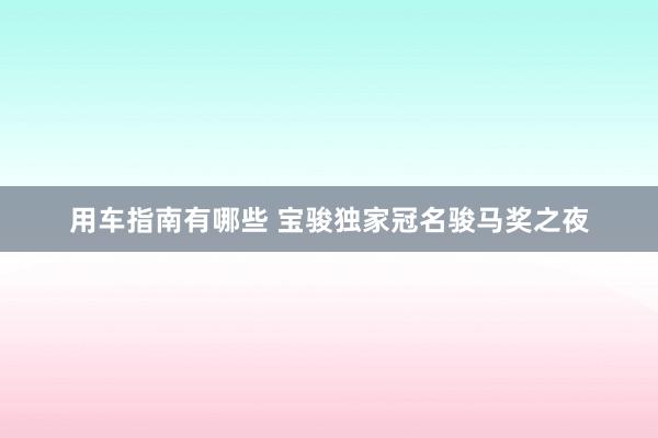 用车指南有哪些 宝骏独家冠名骏马奖之夜