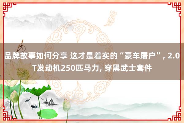 品牌故事如何分享 这才是着实的“豪车屠户”, 2.0T发动机250匹马力, 穿黑武士套件