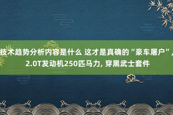 技术趋势分析内容是什么 这才是真确的“豪车屠户”, 2.0T发动机250匹马力, 穿黑武士套件