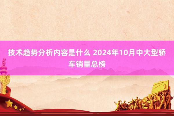 技术趋势分析内容是什么 2024年10月中大型轿车销量总榜