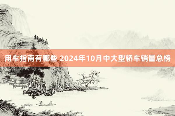 用车指南有哪些 2024年10月中大型轿车销量总榜