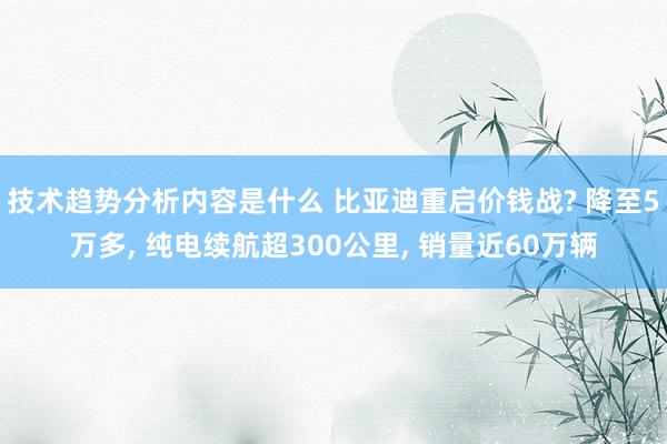 技术趋势分析内容是什么 比亚迪重启价钱战? 降至5万多, 纯电续航超300公里, 销量近60万辆