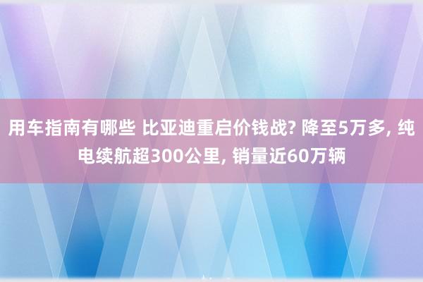 用车指南有哪些 比亚迪重启价钱战? 降至5万多, 纯电续航超300公里, 销量近60万辆