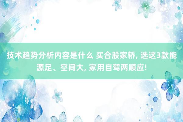 技术趋势分析内容是什么 买合股家轿, 选这3款能源足、空间大, 家用自驾两顺应!