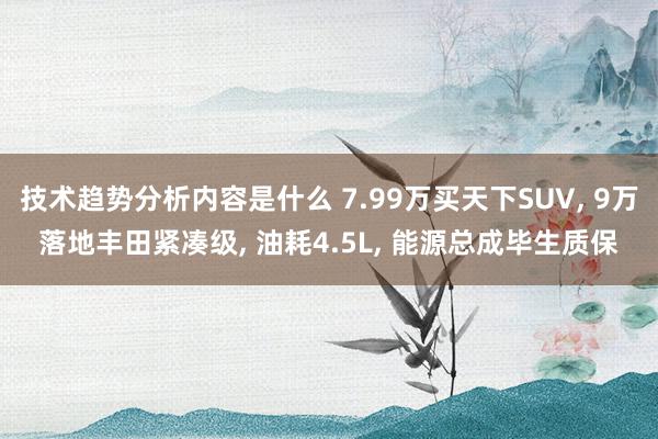 技术趋势分析内容是什么 7.99万买天下SUV, 9万落地丰田紧凑级, 油耗4.5L, 能源总成毕生质保