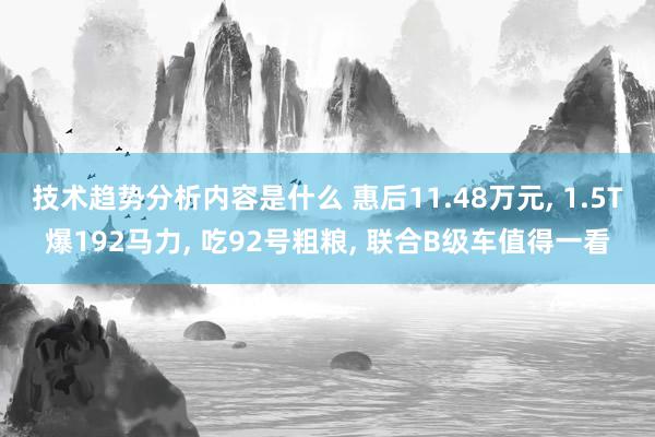 技术趋势分析内容是什么 惠后11.48万元, 1.5T爆192马力, 吃92号粗粮, 联合B级车值得一看