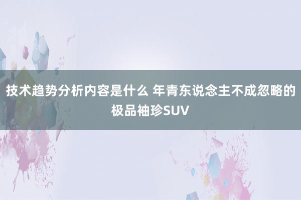 技术趋势分析内容是什么 年青东说念主不成忽略的极品袖珍SUV