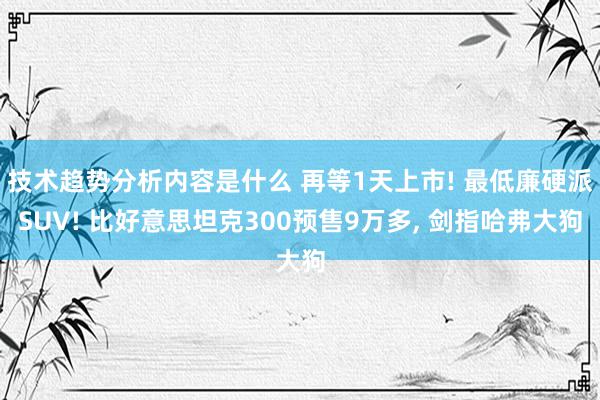 技术趋势分析内容是什么 再等1天上市! 最低廉硬派SUV! 比好意思坦克300预售9万多, 剑指哈弗大狗