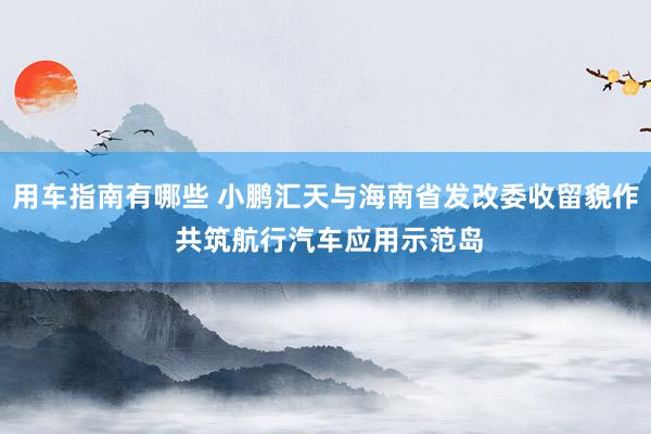 用车指南有哪些 小鹏汇天与海南省发改委收留貌作 共筑航行汽车应用示范岛