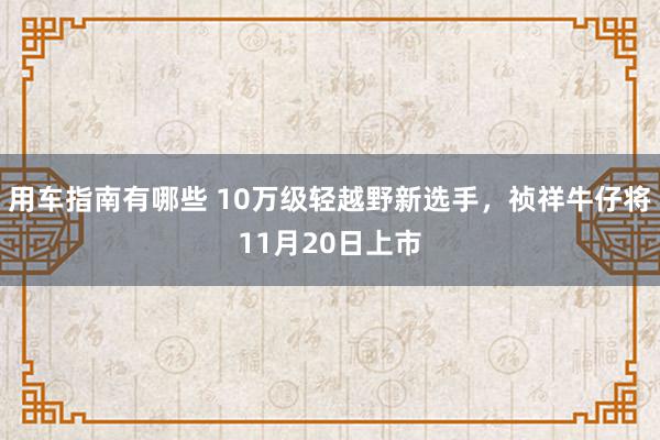 用车指南有哪些 10万级轻越野新选手，祯祥牛仔将11月20日上市