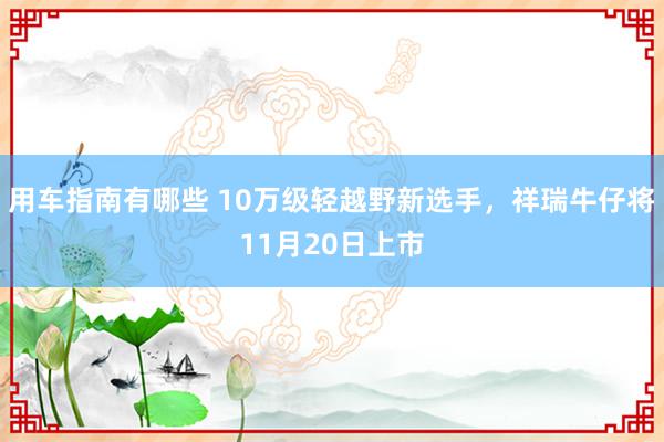 用车指南有哪些 10万级轻越野新选手，祥瑞牛仔将11月20日上市