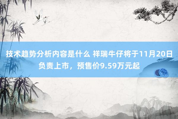 技术趋势分析内容是什么 祥瑞牛仔将于11月20日负责上市，预售价9.59万元起