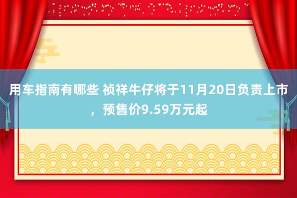 用车指南有哪些 祯祥牛仔将于11月20日负责上市，预售价9.59万元起